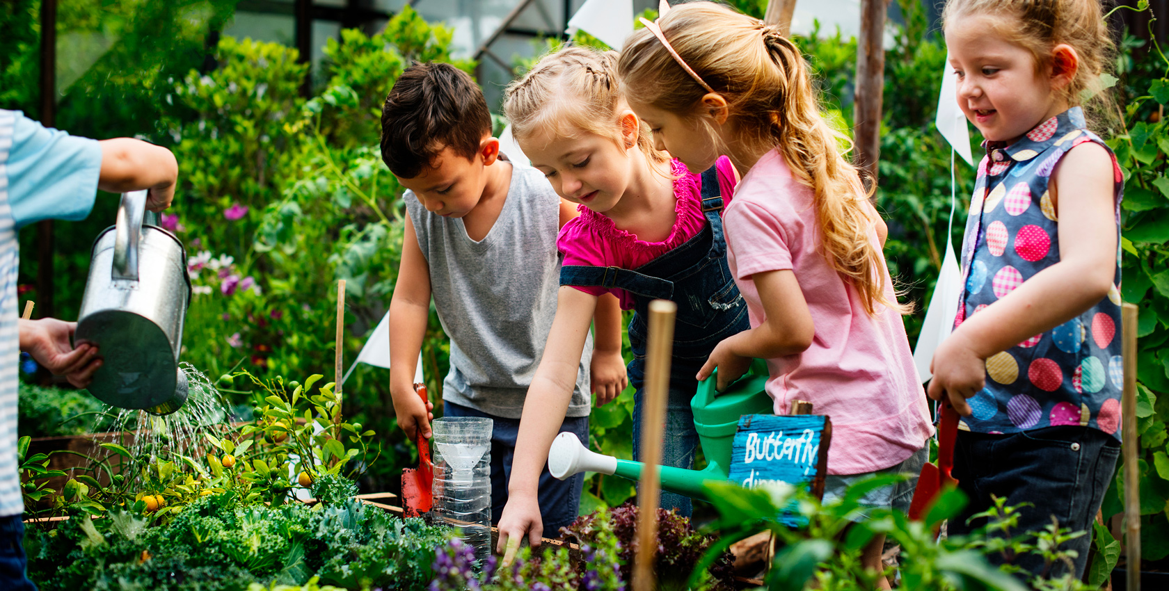 Kinderen leren in de moestuin